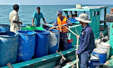 Hơn 40.000 lít nước ngọt đến với đảo Hòn Chuối giữa nắng hạn