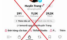 Khởi tố nhóm lừa đảo qua TikTok với chiêu ‘lỗi chuyển khoản’