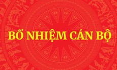 Thủ tướng quyết định nhân sự Bộ Ngoại giao, Bộ GD&ĐT