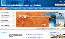 Bảo hiểm Dầu khí vi phạm lĩnh vực chứng khoán