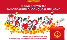 Những nguyên tắc bầu cử đại biểu Quốc hội, đại biểu HĐND