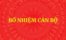 Thủ tướng tiếp nhận, bổ nhiệm nhân sự Bộ Dân tộc và Tôn giáo, Bộ NN&MT và giao điều hành ĐHQGHN