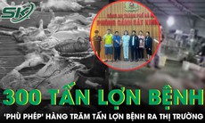 Hà Nội: Phá đường dây ‘phù phép’ 300 tấn lợn bệnh vào trường học, chợ dân sinh