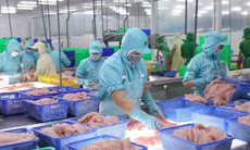 Nhiều chính sách kinh tế quan trọng có hiệu lực từ tháng 4 năm 2026