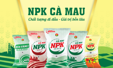 BSC khuyến nghị mua cổ phiếu DCM