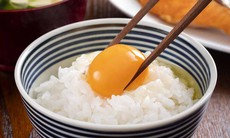 Ăn trứng sống có lợi ích gì mà người Nhật Bản lựa chọn?