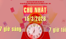 CLIP: 5 bước cử tri thực hiện khi đi bầu cử