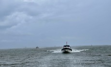 Tìm kiếm tàu cá mất liên lạc trên biển