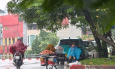 Miền Bắc trời rét, miền Trung mưa kéo dài do tác động của không khí lạnh