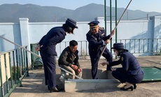 Nghệ An giám sát chặt hoạt động kinh doanh xăng dầu, bảo đảm nguồn cung