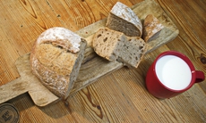 Nguồn dinh dưỡng phổ biến có thể chặn đứng dịch bệnh khiến hàng trăm nghìn người chết mỗi năm