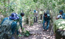 Khánh Hòa bảo vệ ‘lá phổi xanh’, phòng chống cháy rừng cấp 5