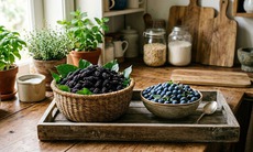 Dâu tằm và việt quất, loại quả nào giàu chất chống oxy hóa và tốt hơn?