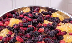 Dâu tằm ngâm nổi váng: Độc tố cần loại bỏ hay chỉ hớt váng là được?