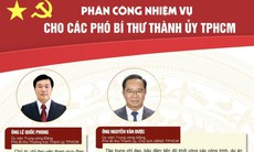 [Infographic] Phân công nhiệm vụ các Phó Bí thư Thành ủy TPHCM