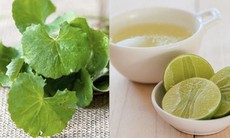 Mẹo chữa nám da từ rau má