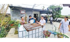 Bộ Y tế: Các tỉnh, thành phố đảm bảo nước sạch, vệ sinh môi trường, phòng chống dịch mùa mưa lũ 2026