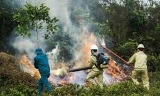 Nắng nóng, cảnh báo cháy rừng mức cao nhất ở nhiều khu vực