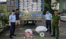 Ngăn chặn hơn 12 tấn chân lợn đông lạnh bốc mùi hôi ra thị trường