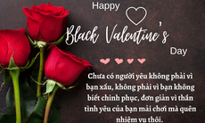 Những lời chúc ngày Valentine 14/4 hay và ý nghĩa nhất 2026