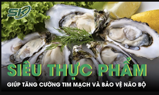 Hàu được ví như siêu thực phẩm tự nhiên giúp tăng cường tim mạch và bảo vệ não bộ 