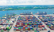 Công ty Cổ phần Kho vận Tân Cảng vi phạm chứng khoán