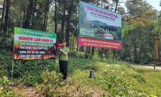 Kiểm lâm khuyến cáo không đốt vàng mã trong cao điểm nắng nóng để phòng cháy rừng