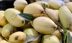 Một loại quả Việt bán đầy chợ giá rẻ bèo, xuất khẩu sang nước ngoài bán đắt như ‘vàng’