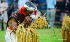 [Ảnh] Người Chu Ru mang mùa vàng từ đại ngàn về Thủ đô