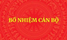 Danh sách Chủ tịch, Phó Chủ tịch UBND 31 tỉnh, thành phố vừa được Thủ tướng phê chuẩn