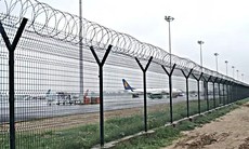 Nguy cơ mất an toàn hàng không từ động vật lọt vào khu bay