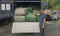 Tạm giữ xe chở hơn 2,6 tấn nguyên liệu thuốc lá không rõ nguồn gốc đang đi tiêu thụ