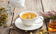 Uống trà hoa cúc mỗi ngày, axit uric thay đổi ra sao?
