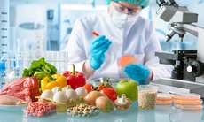 Bộ Y tế chủ trì sửa Luật An toàn thực phẩm, trình Chính phủ trước 10/8