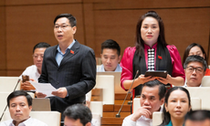 Đề xuất nghỉ Ngày Văn hóa Việt Nam, hưởng nguyên lương, miễn phí tham quan