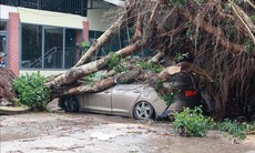 Những khu vực có dông lốc mạnh nhất trong ngày 23/4 do không khí lạnh tác động