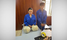 Triệt phá đường dây ma túy xuyên biên giới, thu giữ 10kg thuốc phiện