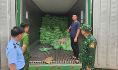 Khám 3 kho hàng vùng biên, phát hiện hơn 25 tấn chân lợn, cánh gà đông lạnh không rõ nguồn gốc