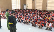 Triệt phá trường gà quốc tế Viêng Xay quy mô đặc biệt lớn