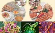 Bộ Y tế yêu cầu truy suất nguồn gốc thực phẩm vụ hơn 40 học sinh nghi ngộ độc ở Cà Mau