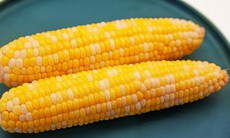 Điều bạn cần biết khi ăn ngô luộc buổi sáng để giảm cân