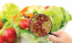 Bộ Y tế yêu cầu điều tra, xử lý vụ nghi ngộ độc thực phẩm khiến 23 học sinh ở TP. Hồ Chí Minh nhập viện