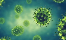 Nga phát triển thành công thuốc kháng virus cúm thế hệ mới