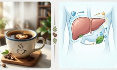 Điều gì xảy ra với gan khi uống cà phê mỗi ngày?