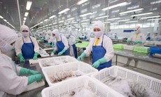 KBSV nhận định, tiềm năng tăng giá của cổ phiếu FMC có thể đạt 47%