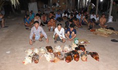 Phá sới đá gà ăn tiền, tạm giữ 35 người