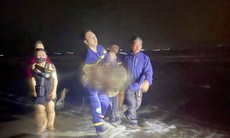 Báo động tình trạng đuối nước trẻ em khi mùa hè chưa tới