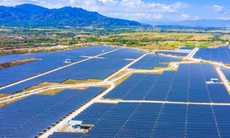 Trung Nam Thuận Nam mua lại trước hạn loạt mã trái phiếu