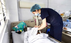 Một phụ nữ viêm màng não do nhiễm loại nấm 'giấu mặt' trong vỏ cây bạch đàn