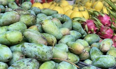 Một loại xoài Việt đang bán đầy chợ giá chỉ hơn chục nghìn đồng/kg, tiểu thương tiêu thụ hàng tạ mỗi ngày ai nhìn cũng muốn mua